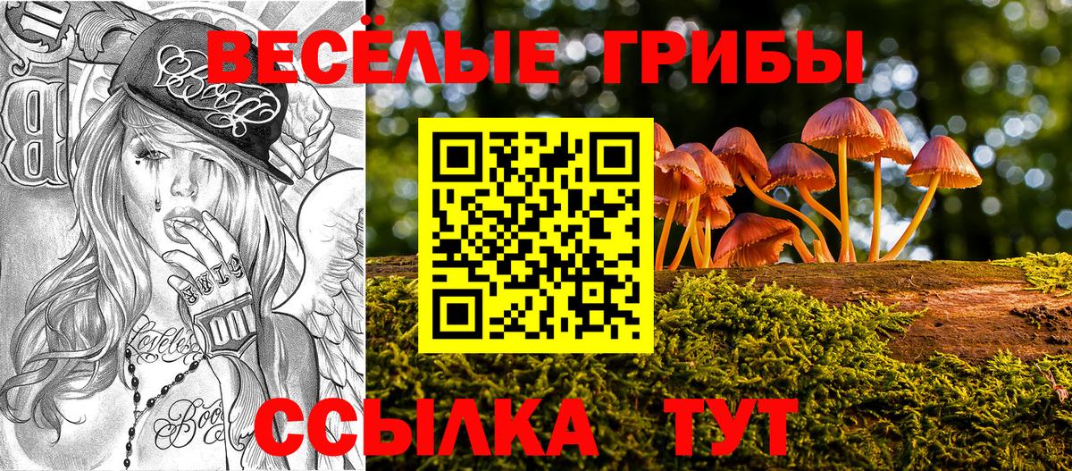 как найти наркотики  Вход с VPN  Находка  Псилоцибиновые грибы Psilocybine cubensis 